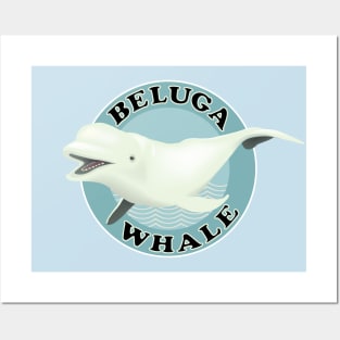 Beluga whale Posters and Art